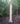 Fluted Column