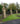 Gate Post