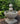 Bubble Fountain