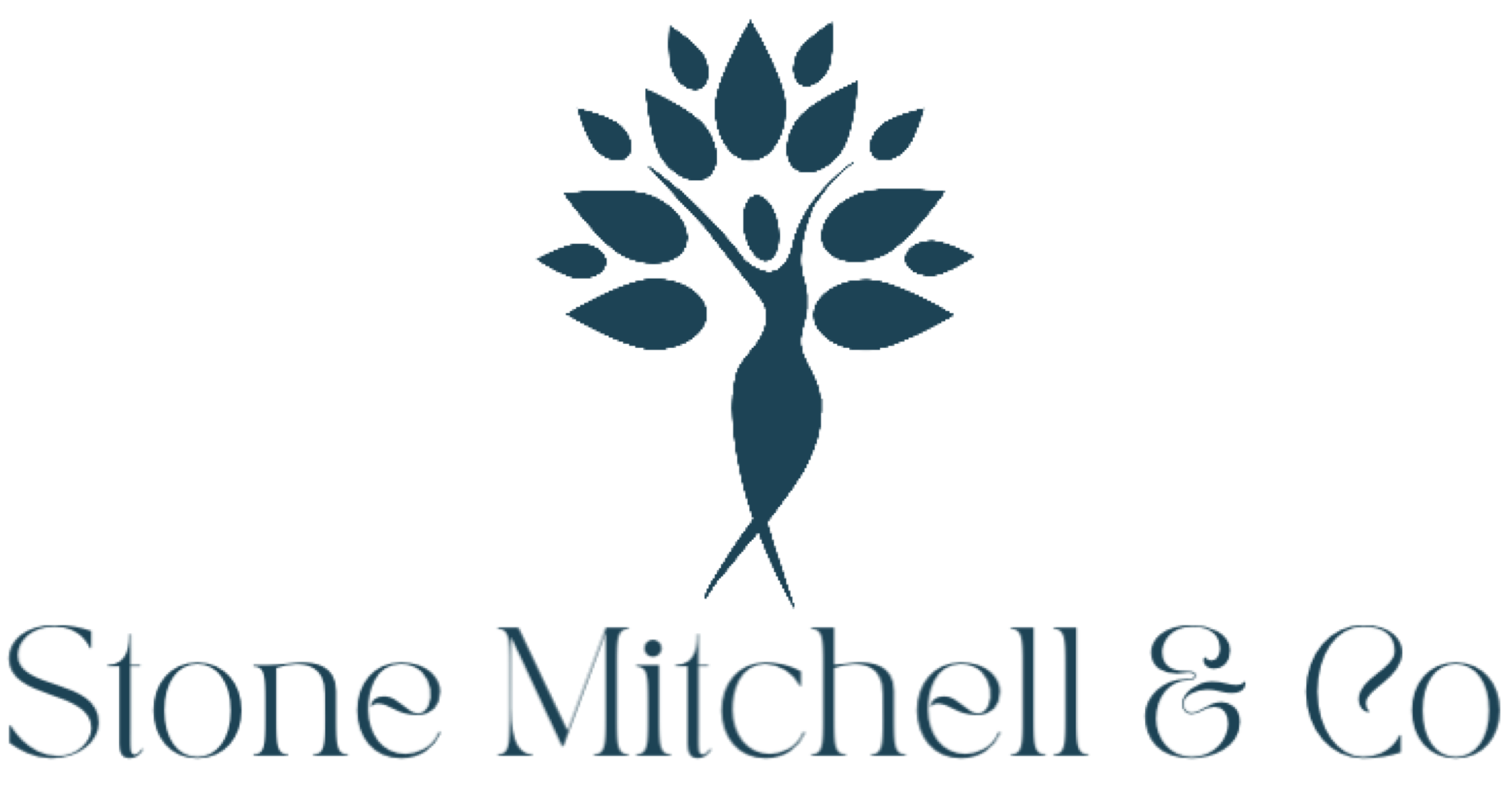 Stone Mitchell & Co logo